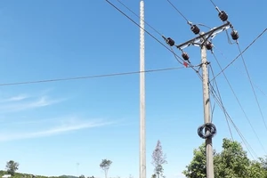 Vụ thi công trước, đấu thầu sau: Chưa kết luận đã cho triển khai 