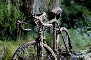 Kỳ lạ: Hang động biến mọi thứ thành đá