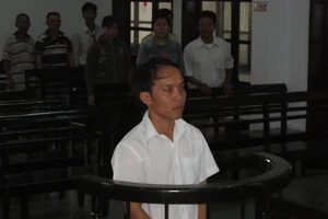 Tranh cãi giá trị cây mai, kẻ thương tích người bị tù