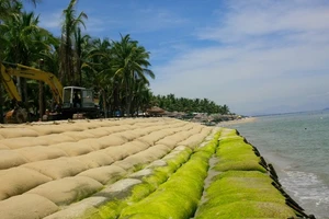 Hội thảo quốc tế ‘giải cứu’ bờ biển Hội An 