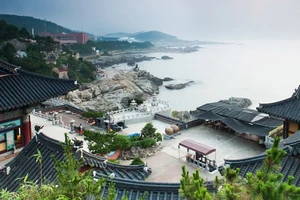 Lao động bất hợp pháp ở Hàn Quốc về nước sẽ miễn xử phạt