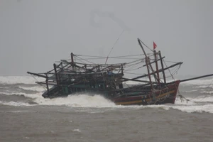 Trú ẩn bão, tàu cá bị mắc cạn phải… tháo từng bộ phận mang vào