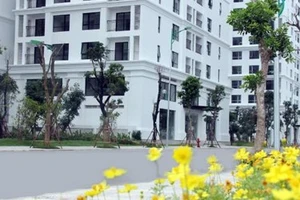 Chủ hộ tái định cư được mua thêm một căn tại cùng địa điểm