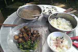 Chùm ảnh: Sống bên bãi rác chờ thị xã bồi thường