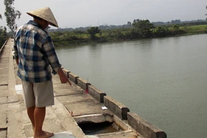 Ba mẹ con chạy xe máy rơi xuống sông, mẹ tử vong