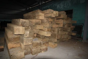 Phát hiện kho gỗ quý không rõ nguồn gốc