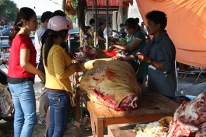 Hàng trăm con bê bị giết thịt tại chợ 'bán rủi cầu may'