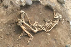 Sửa nhà, phát hiện bộ xương người trên… trần