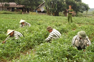 Kế hoạch thực hiện việc chuyển hình phạt tử hình thành tù chung thân