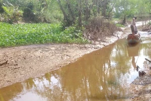 Xâm mặn 90 km, nửa triệu dân thiếu nước sinh hoạt trầm trọng