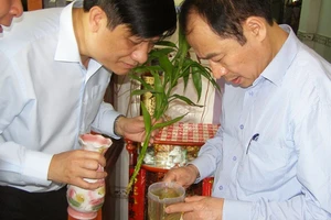 'Khả năng virus Zika đã lưu hành ở Việt Nam là rất cao'