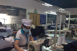 Lần đầu tiên ban hành tài liệu phòng chống lao động cưỡng bức