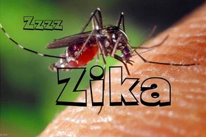 Hai người nhiễm Zika sống tại TP.HCM và Khánh Hòa