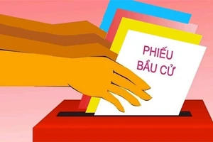 Trường hợp tổ chức bầu cử lại