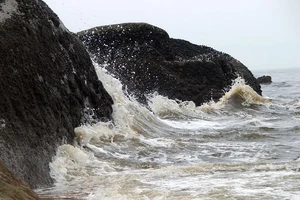 Thủy triều đỏ đã tấn công bờ biển Bình Thuận như thế nào?