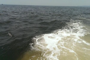 Hà Tĩnh: Ngư dân phát hiện dải nước biển màu sậm khác thường