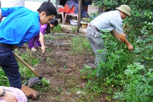 Thêm một ca tử vong do sốt xuất huyết