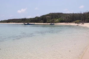 Lấy mẫu nước xác định nguyên nhân cá chết tại đảo Phú Quý