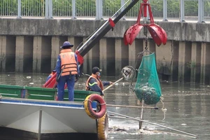 Bất ngờ với lượng cá chết hơn 70 tấn ở kênh Nhiêu Lộc - Thị Nghè