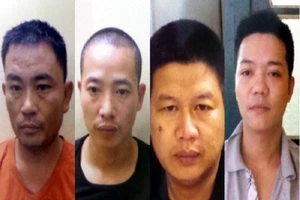 Trói bảo vệ, đưa xe cẩu vào tận công trường trộm cáp điện