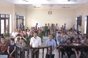 Phó Thủ tướng chỉ đạo xem xét kết quả xét xử vụ án Minh ‘sâm’ 