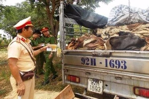 Bắt giữ gần 4 tấn da động vật bốc mùi hôi thối