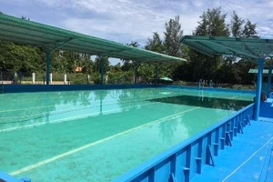 Trường có 9 học sinh đuối nước đã trang bị hồ bơi