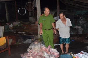 Bến Tre: ‘Phù phép’ gần 700 kg heo chết thành heo quay