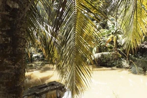 Nghịch tử sát hại mẹ vì di chúc không có tên mình