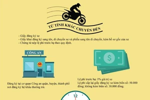 Infographic: Thủ tục sang tên xe chính chủ
