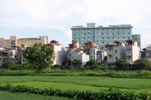 Xác định loại đất đối với đất không có giấy tờ