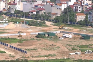 Các trường hợp được miễn thuế sử dụng đất