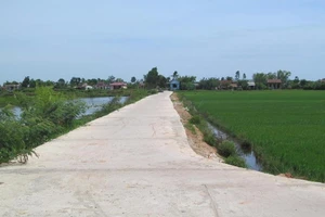 Tham tiền, trưởng và phó thôn nắm tay nhau 'về vườn'