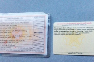 Từ 1-6: Không bắt buộc đổi bằng lái xe sang thẻ PET