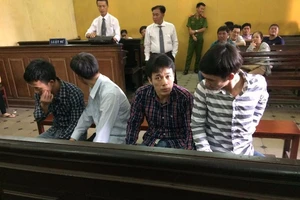 Bắt trộm hàng chục con trâu, bò dễ như trở bàn tay