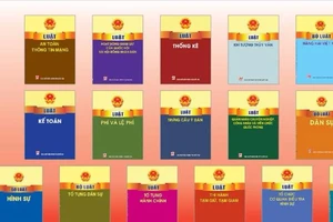 Hiệu lực thi hành của 12 Luật mới công bố