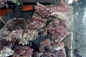 2 phụ nữ hắt chất thải vào phản thịt lợn bị lãnh án