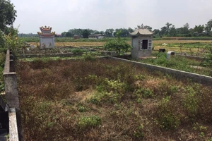 Tòa trả hồ sơ vụ trưởng thôn giao đất trái thẩm quyền