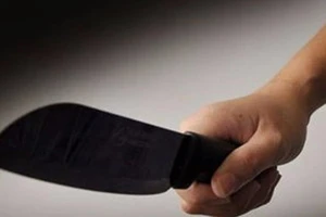 Mẫu thuẫn đất đai, huynh đệ tương tàn