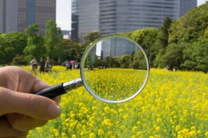 Chuẩn bị tổng điều tra dân số và nhà ở