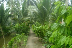 Thanh niên đi tù vì bị ông ngoại bạn gái ‘bắt quả tang’