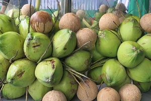 Tên trộm tự làm khó mình