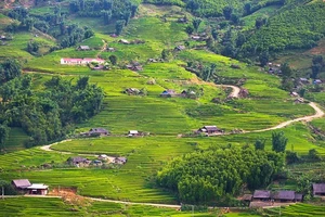 Mới: Tiêu chí lựa chọn, công nhận người có uy tín