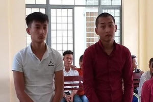 Chôm hàng chục chậu mai cảnh, rồi sơn lại đem bán