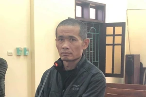 Mua pháo về chơi tết, một tài xế xe khách đi tù