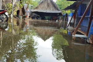 Triều cường dâng cao, nhà dân ngập trong nước