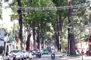 TP.HCM: Đường vắng hoe những ngày cận Tết