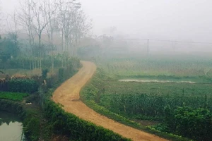 Tết của người dân tộc Tày ở Thái Nguyên