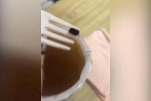 Nghi ngờ có trứng gián trong ly trà đào