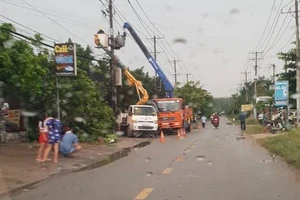 Vì sao có sự cố cháy nổ trên lưới điện ở Củ Chi